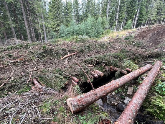 Midlertidig bro bygges for å ivareta bekken. Byggematerialer er virke og bar fra driften som fjernes etter bruk.