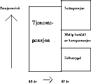 Figur 9.9 Alderspensjon under et nettosystem