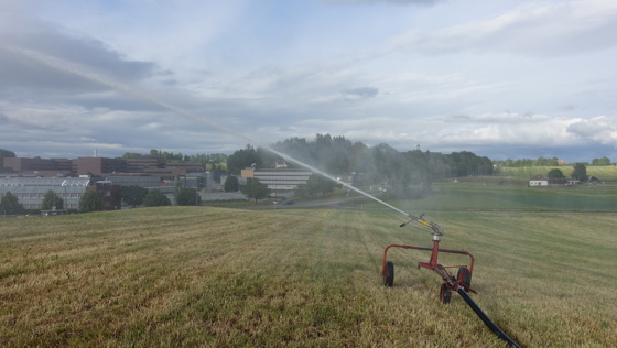 Vanning etter 1.slått ved Norges miljø- og biovitenskapelige universitet i Ås.