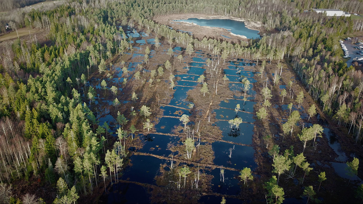 Figure 5.4 Adalstjern nature reserve.