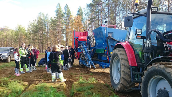 Et godt samarbeid med elever og lærere fra Senja videregående skole, Gibostad, er viktig. Her følger to naturbruksklasser nøye med på innhøsting av gulrot. 