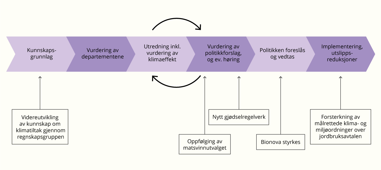 Beskrivelse av virkemidlenes plass i prosessen for politikkutvikling