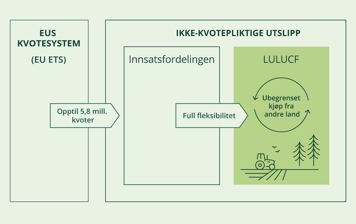 Fleksibilitet under skog- og arealbruksregelverket (LULUCF)