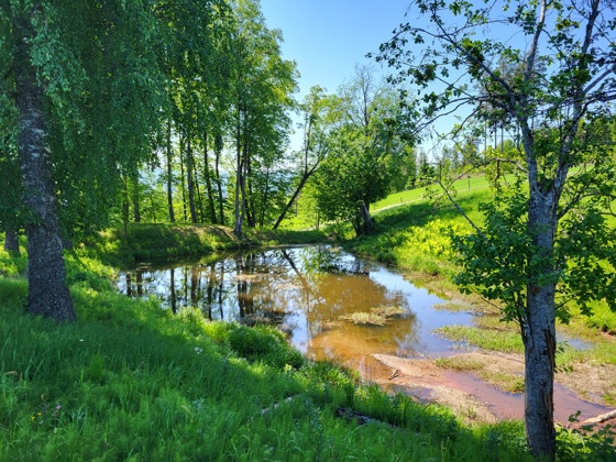 Regionale Miljøkrav i Buskerud og Hadeland