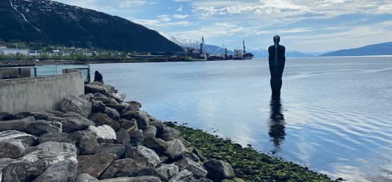 Figur 5.10 Mo i Rana har en lang og sterk industritradisjon. Her blikk utover Ranfjorden med Havmannen i forgrunnen.