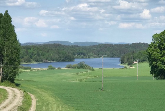 Goksjø i Sandefjord kommune.