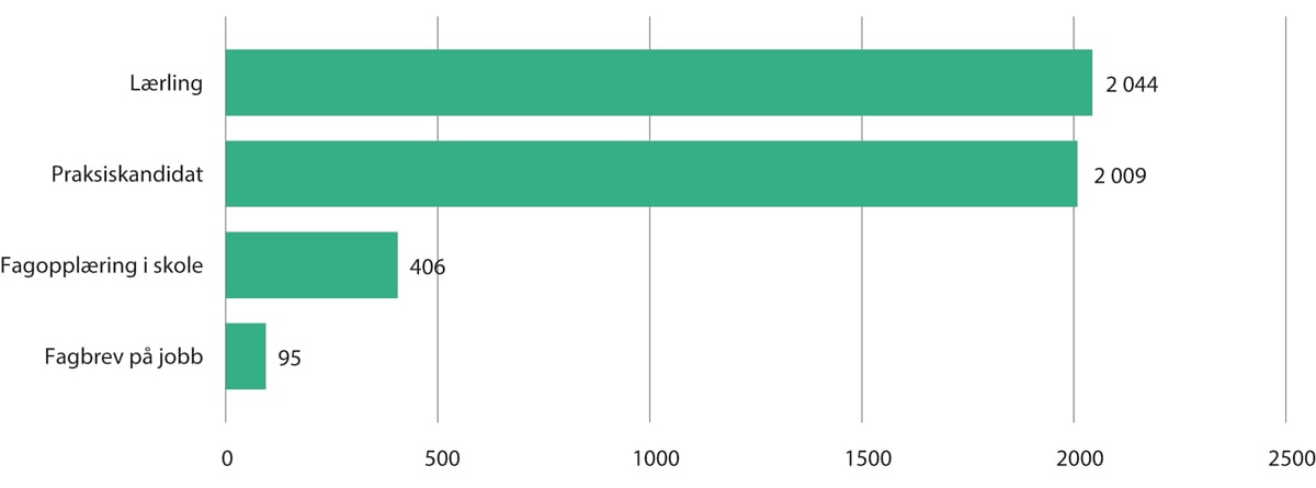 Figur 10.4 Fullførte fagbrev som helsefagarbeider, etter prøve kandidattype. 2020/2021
