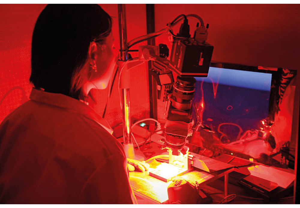 Figure 1.4 Research in biotechnology