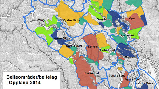 Beiteområder/beitelag i Oppland 2014