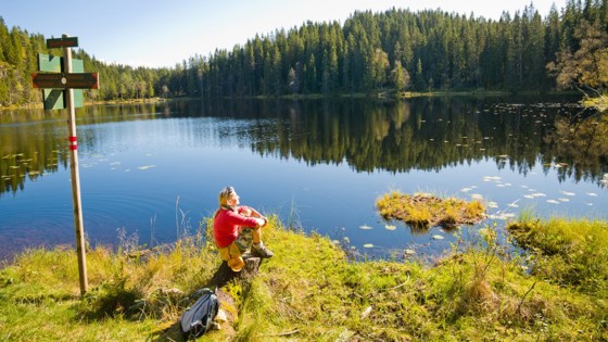 Fra Skjennungen i Nordmarka