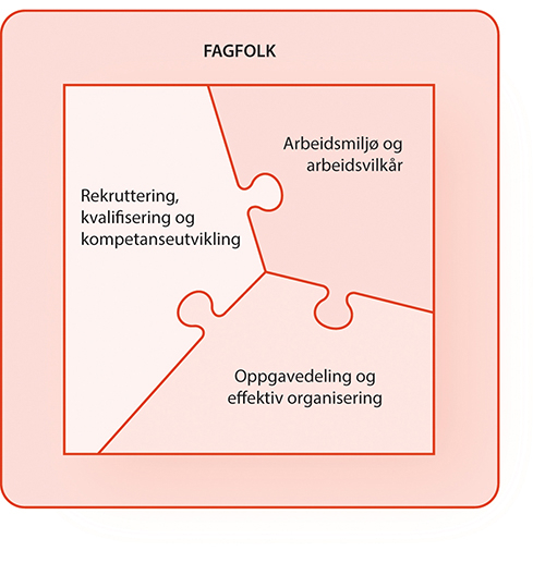 Figur 5.1 Fagfolk og innsatsområder