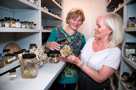 Klyngeleder Elin Kolsvik (t.v.) og Marbanks leder Kjersti Lie Gabrielsen med noen av de mange organismene i den marine biobanken Marbank i Tromsø.