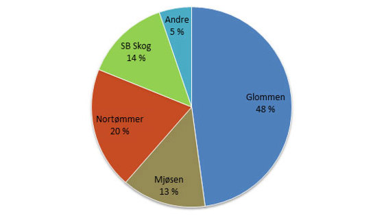 Figur 2: Fordeling av markedsandeler av tømmeromsetningen i 2014.