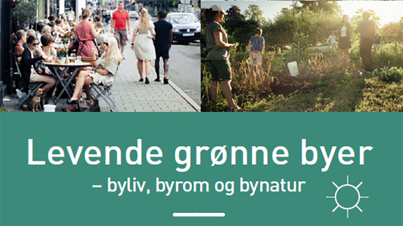 Program grønne byer