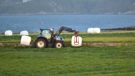 Rundballar på Herdla.