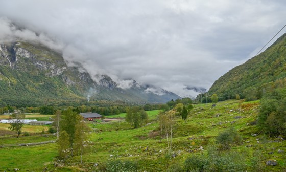 Utsikt utover beoiteområde bakom fjøset. Foto: Statsforvaltaren i Møre og Romsdal/ Ragnhild N. Aas