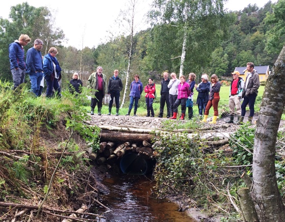 Utgravinger i elvekanter