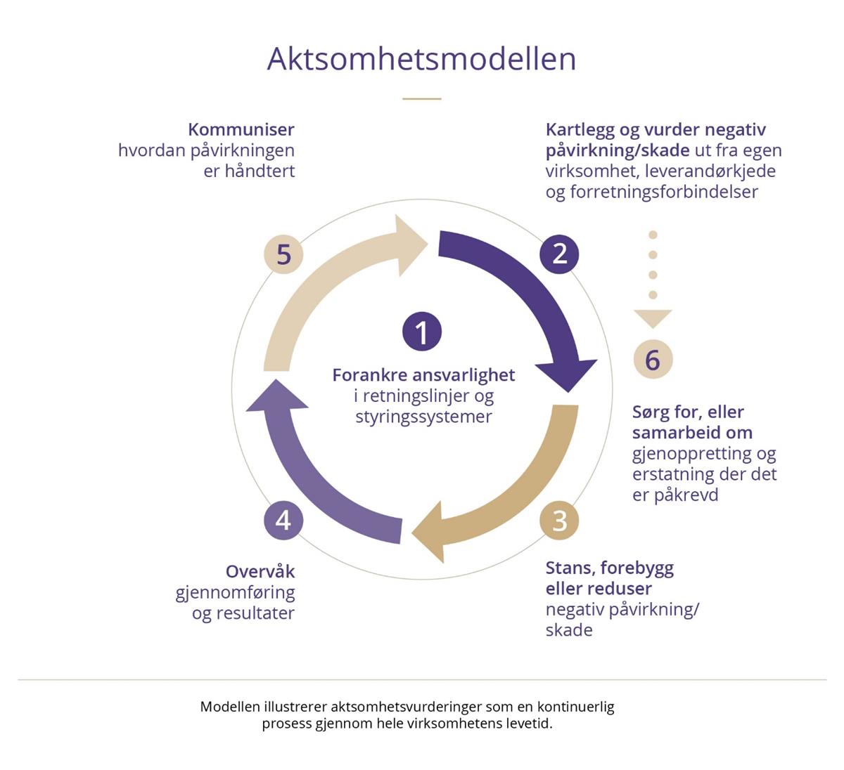 Illustrasjon av aktsomhetsmodellen, et hjul formet av fire piler.

Inne i hjulet står det:
1) Forankre ansvarlighet i retningslinjer og styringssystemer.

Ved hver av pilene hjulet er laget av står det:
2) Kartlegg og vurder negativ påvirkning/skade ut fra egen virksomhet, leverandørkjede og forretningsforbindelser
3) Stans, forebygg eller reduser negativ påvirkning/skade
4) Overvåk gjennomføring og resultater
5) Kommuniser hvordan påvirkningen er håndtert.

Hjulet symboliserer at prosessen er uendelig, og gjentas med jevne mellomrom eller når rammebetingelser endrer seg.

Utenfor hjulet står det til slutt:
6) Sørg for, eller samarbeid om, gjenopprettig og erstatning der det er påkrevd.