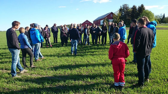 Økologisk markdag i Skjeberg.