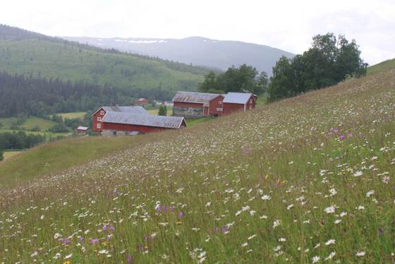 Oppgården, Kvelia i Lierne.