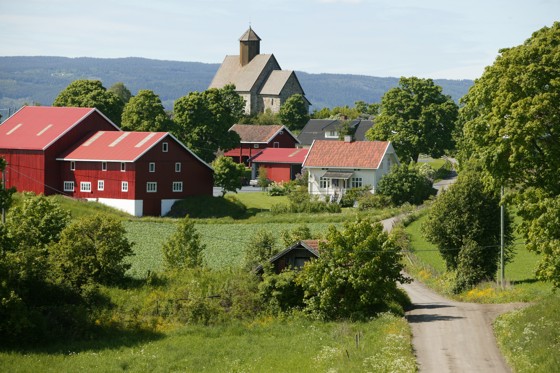 St. Petri, Gamle Tingelstad gærhkoe