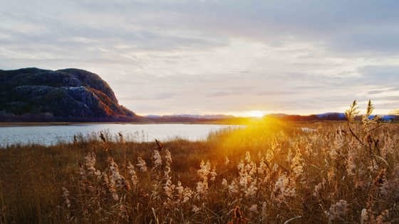 Morgen ved Rusasetvatnet. 