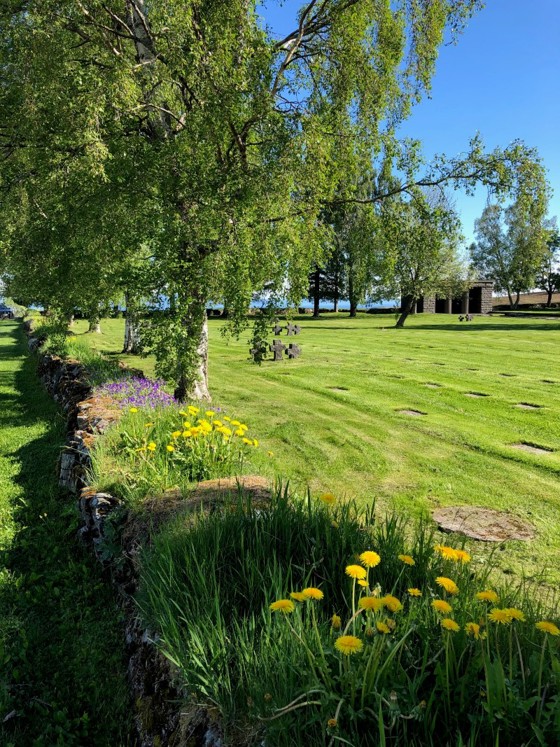 Tysk krigsgravplass på Havstein gård på Byåsen. Skimter liggende steinplater/gravsteiner og hovedinngangen i bakgrunnen.