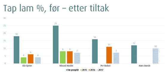 Figur 2. Tap av lam (%) for de fire besetningene som deltok i tiltakspakke Lyngen (2017- tallene er foreløpige).