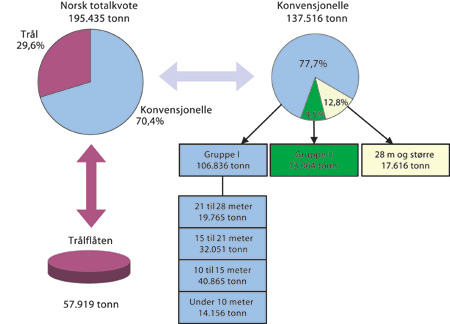 Figur 7.2 Fordeling av totalkvoten for torsk nord for 62°N i 2003