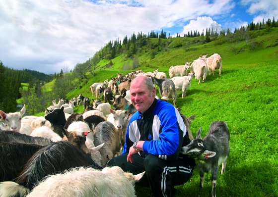 Bondens helse Geit Leksvik.