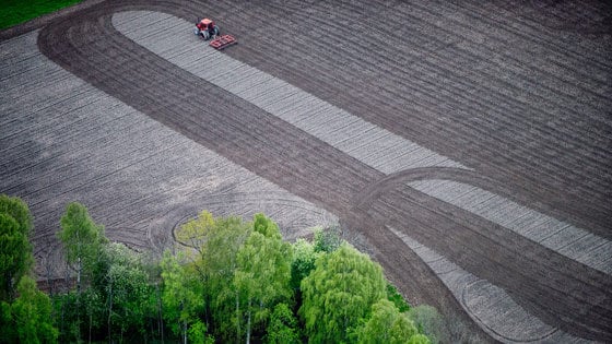 Farmland is a scarce resource. Only three per cent of Norway's land area is currently being cultivated.