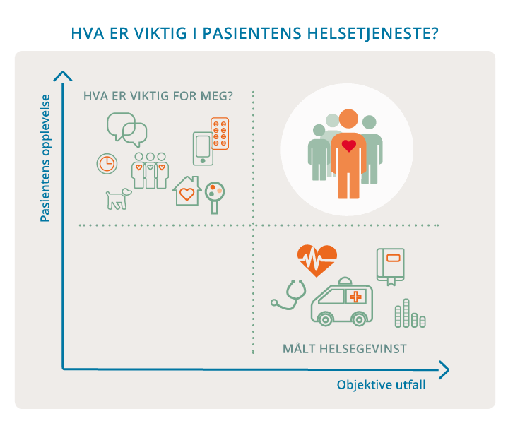 Figur 1.1 Hva er viktig i pasientens helsetjeneste
