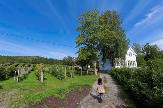 Bjørklund gård, Sørfold kommune i Nordland.