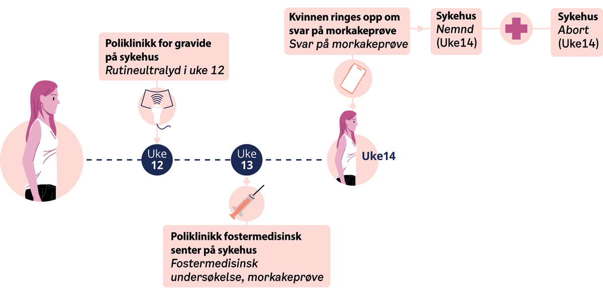 Figur 14.7 Forløp ved tidlig ultralyd uke 12, funn og abort