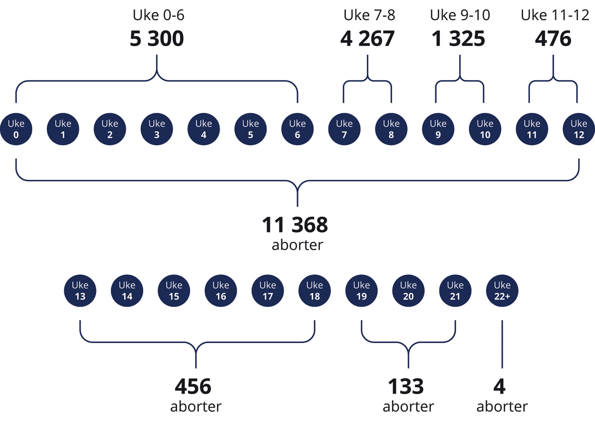 Figur 8.2 Antall svangerskapsavbrudd fordelt på svangerskapets lengde i 2022