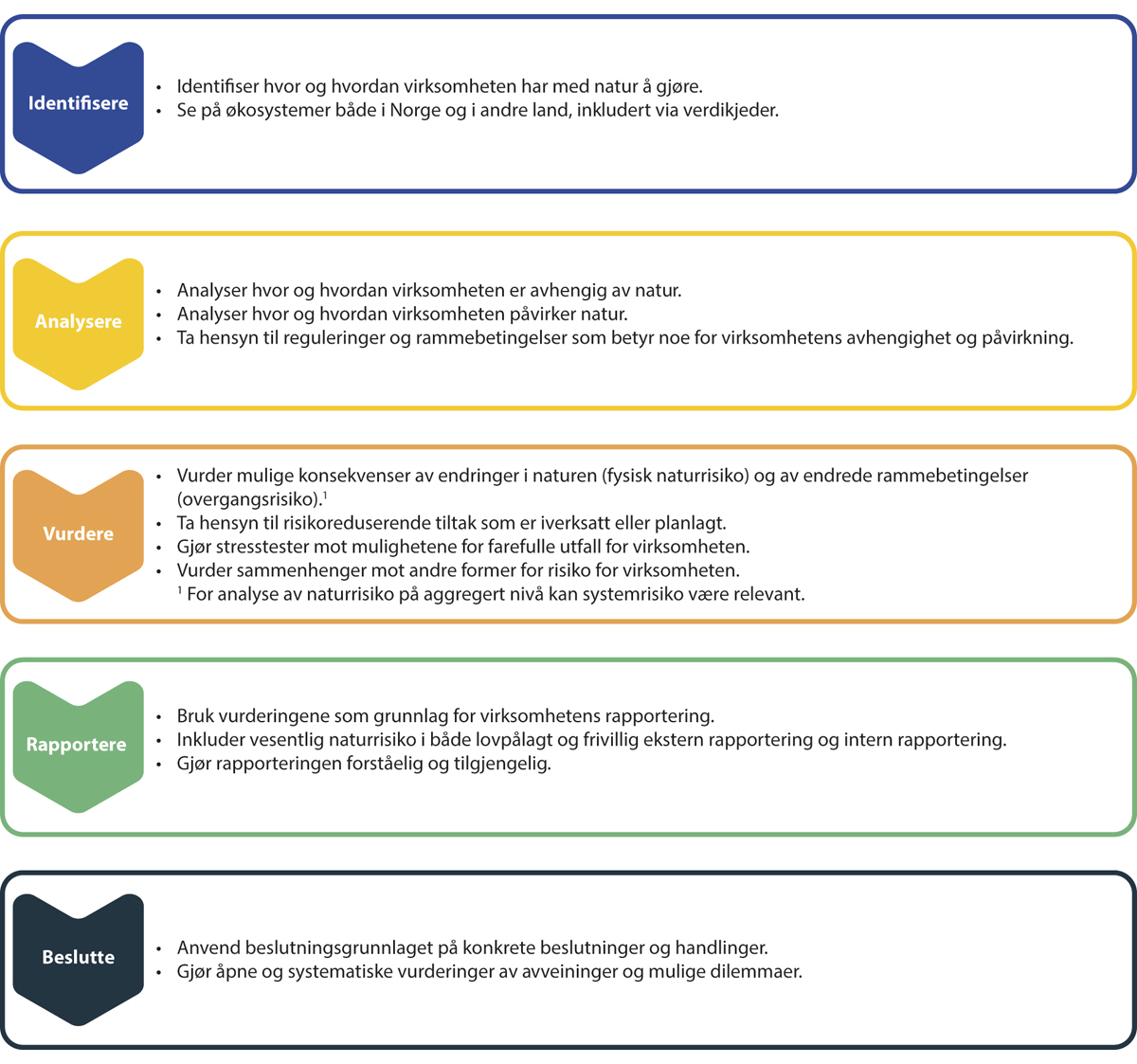 Figur 1.1 Metodiske hovedtrinn i arbeidet med naturrisiko
