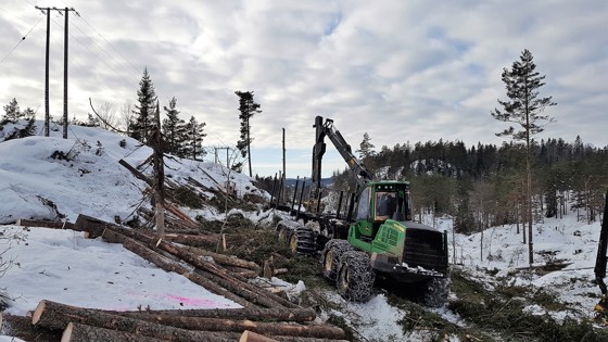 Hogst i høyspenttraseen mellom Akland i Risør og Vegårshei sentrum.