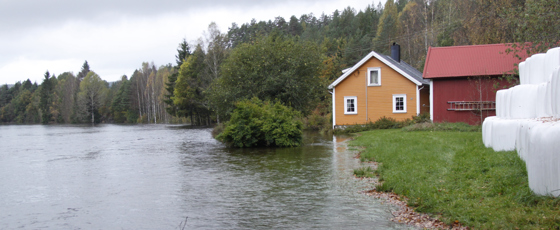 Tovdalselva flommer over sine bredder på Flakk i Birkenes 1. oktober.  