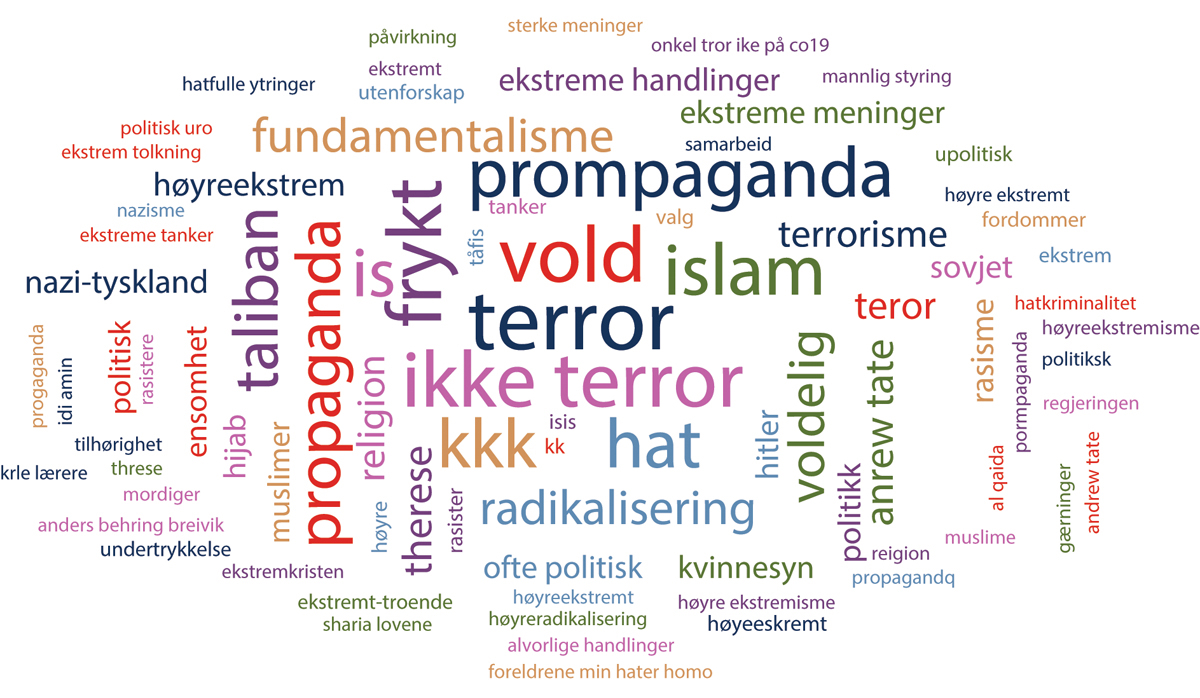 Figur 4.1 Hva er ekstremisme? Hva forbinder du med ekstremisme?