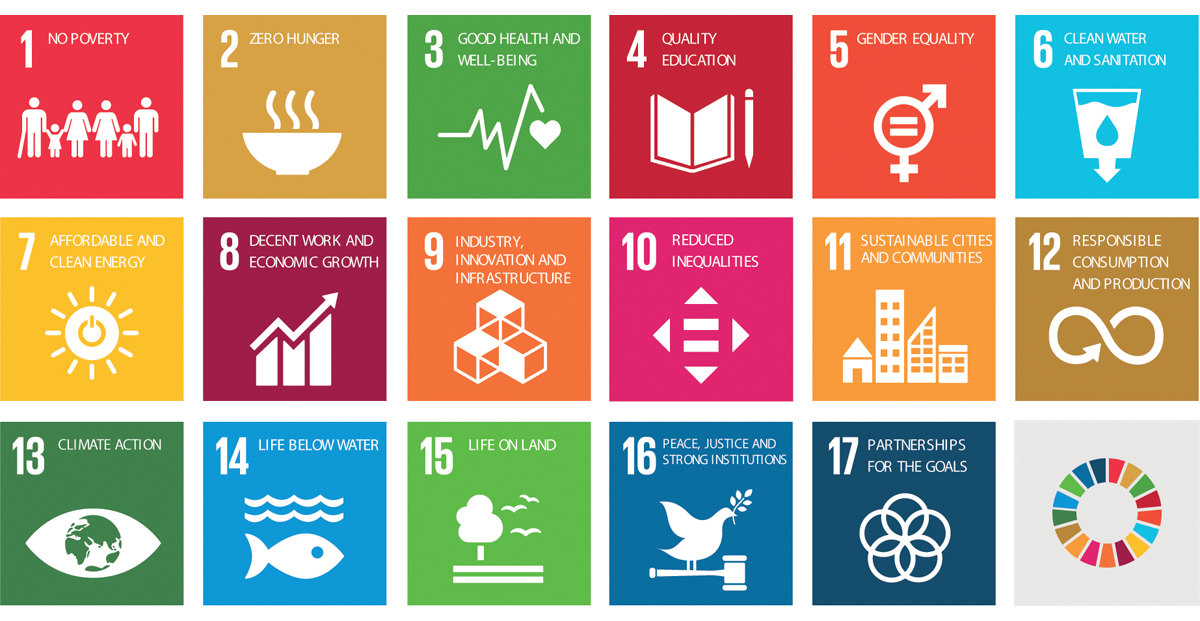 Figure 11.2 United Nations Sustainable Development Goals
