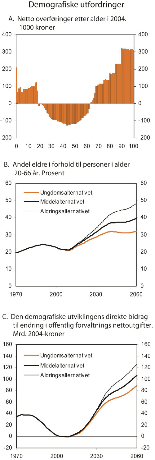 Figur 3.6 Demografiske utfordringer