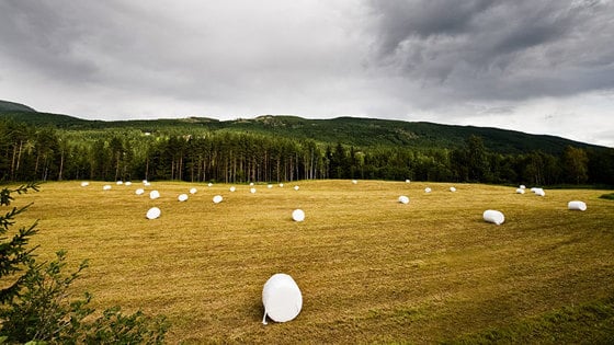 Rundballer/høyballer på jorde.