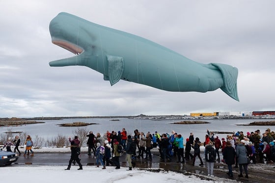 Ein kval som "flyg" i lufta.