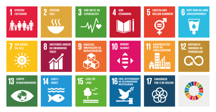 Figur 1.2 De 17 bærekraftsmålene