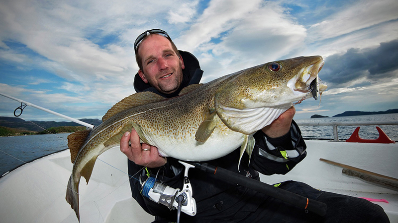 A man holds up a cod