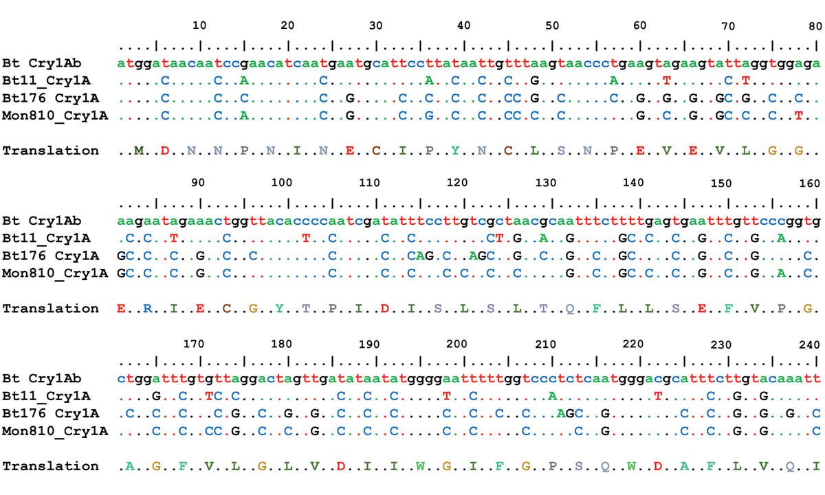 Figur 7.5 Sammenligning av fire ulike Cry1Ab varianter.