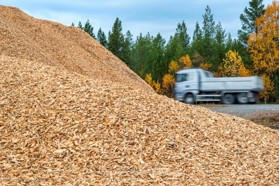 Energiflis fra tynningsvirke av furu.