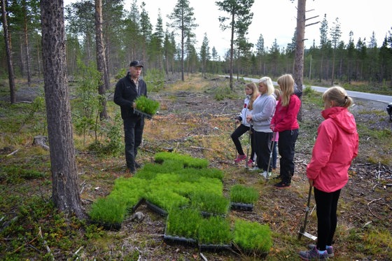 Skogplanting med Grønn framtid.