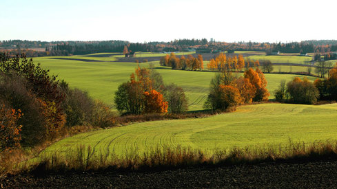 Jordbrukslandskap. Høst på Holstad, Ås i Akershus-f-