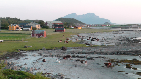 Kjerringøy i Bodø kommune.